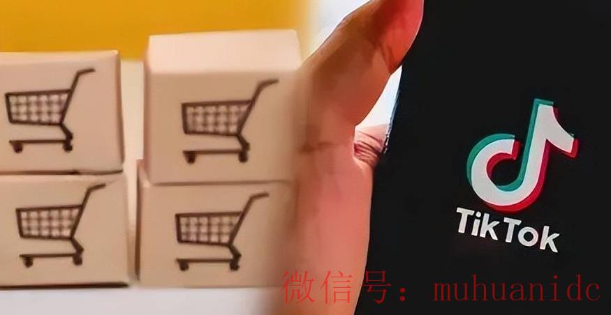 tiktok账号购买平台