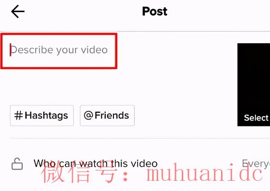 tiktok账号购买平台