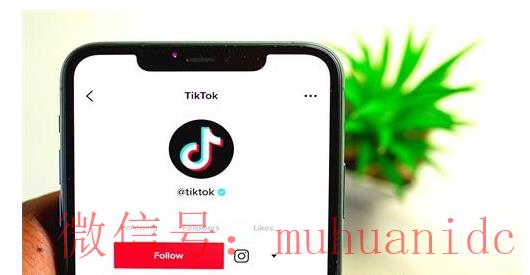 tiktok账号购买平台