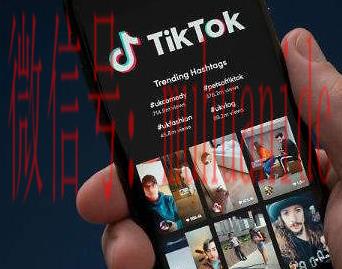 tiktok账号购买平台