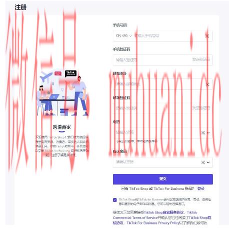 tiktok账号购买平台