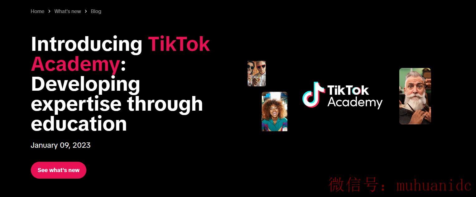 tiktok账号购买平台