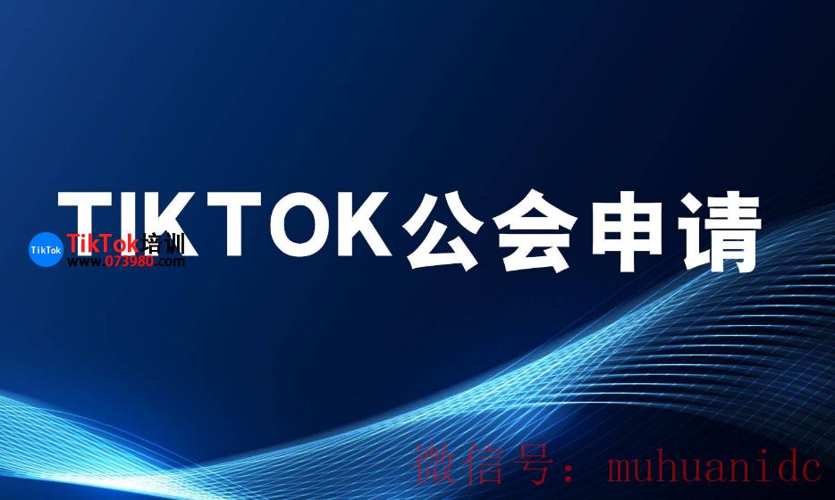 tiktok账号购买平台
