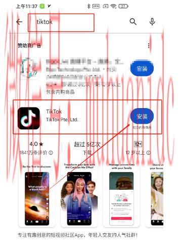 tiktok账号购买平台