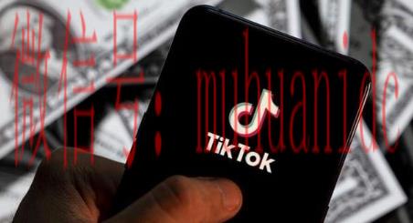 tiktok账号购买平台