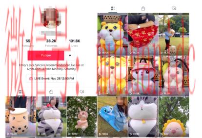 tiktok账号购买平台