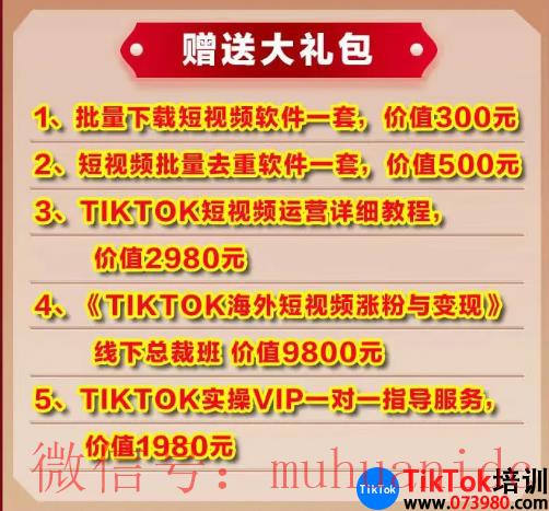 tiktok账号购买平台