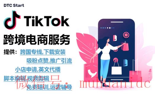 tiktok账号购买平台