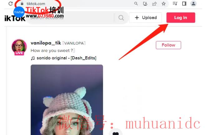 tiktok账号购买平台