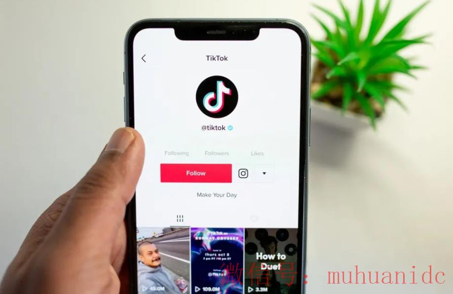 tiktok账号购买平台