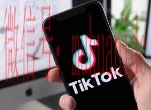 tiktok账号购买平台