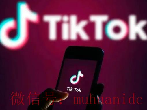 tiktok账号购买平台