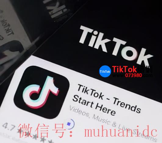 tiktok账号购买平台