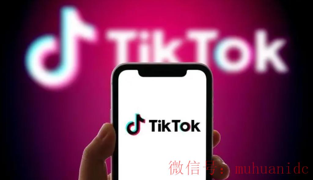 tiktok账号购买平台