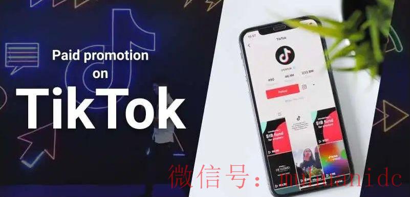 tiktok账号购买平台