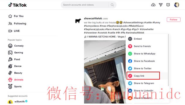 tiktok账号购买平台